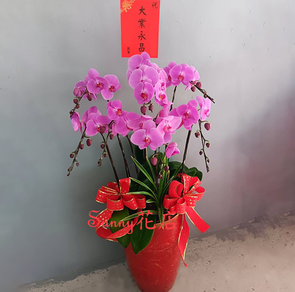時代　中国　花台　盆栽台　珍品台　細密細工 時代　中国　花台　盆栽台　珍品台　細密細工